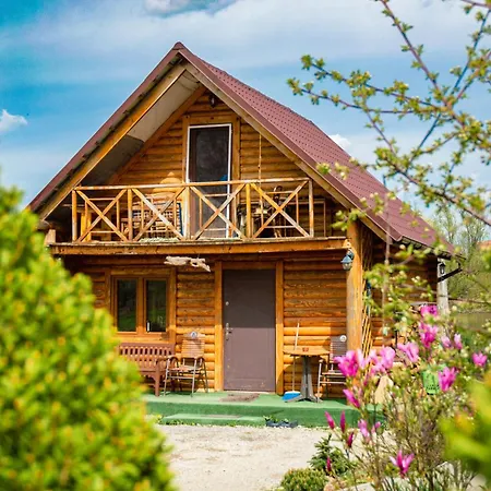 Nad Rozlewiskiem Dağ evi